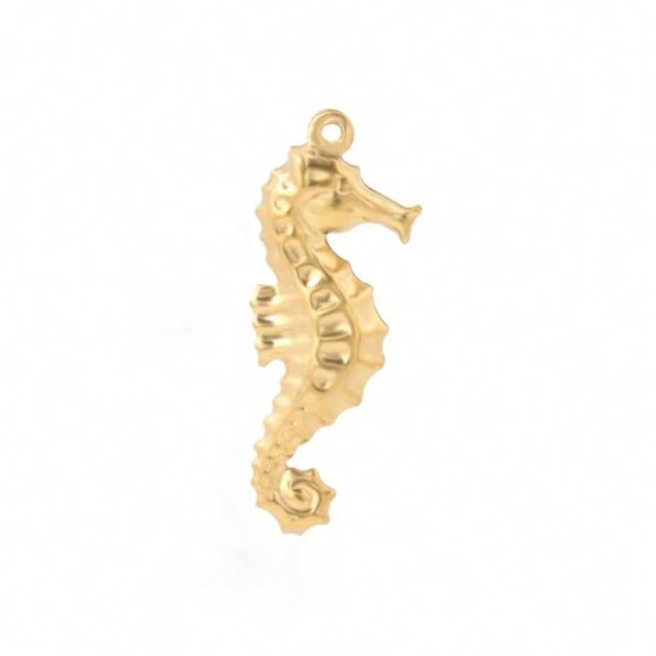 CHARMS HIPPOCAMPE 🦑