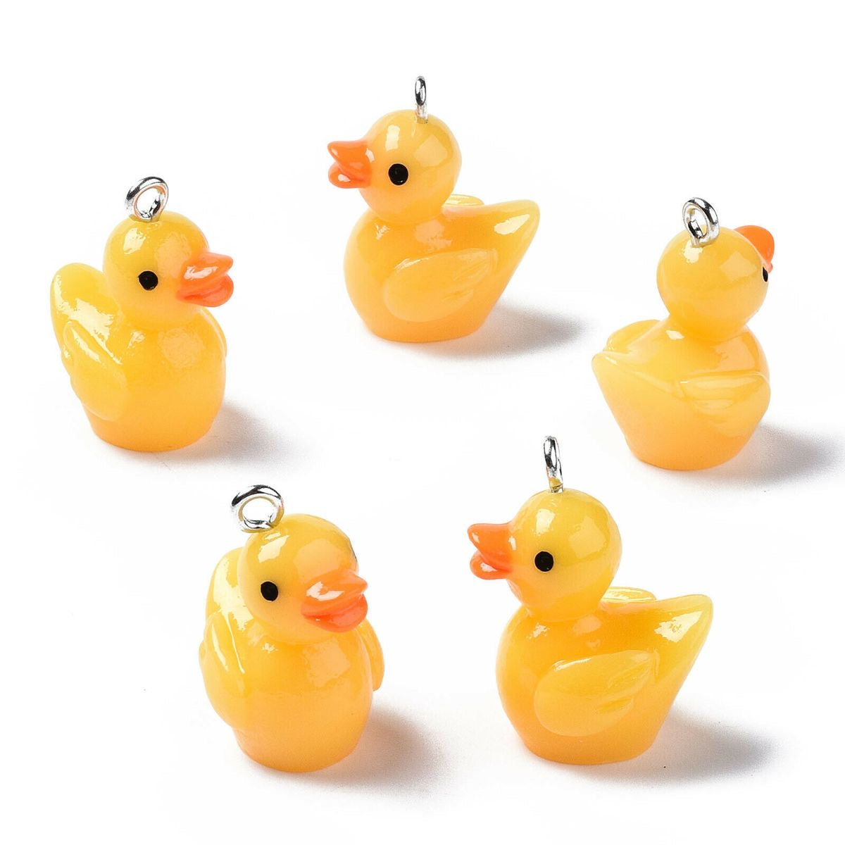 CHARMS CANARD