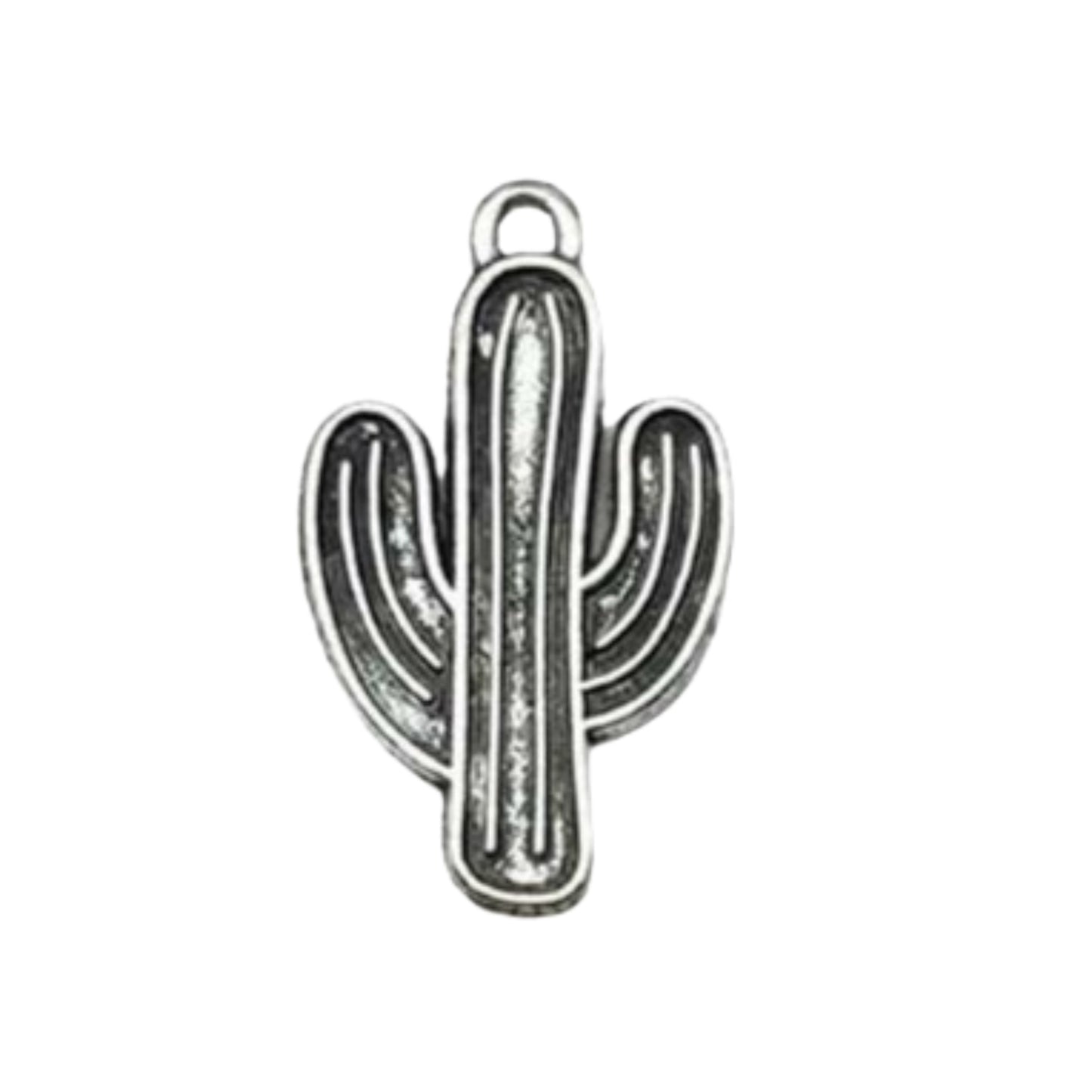 CHARMS CACTUS 🌵