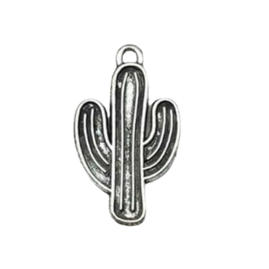 CHARMS CACTUS 🌵