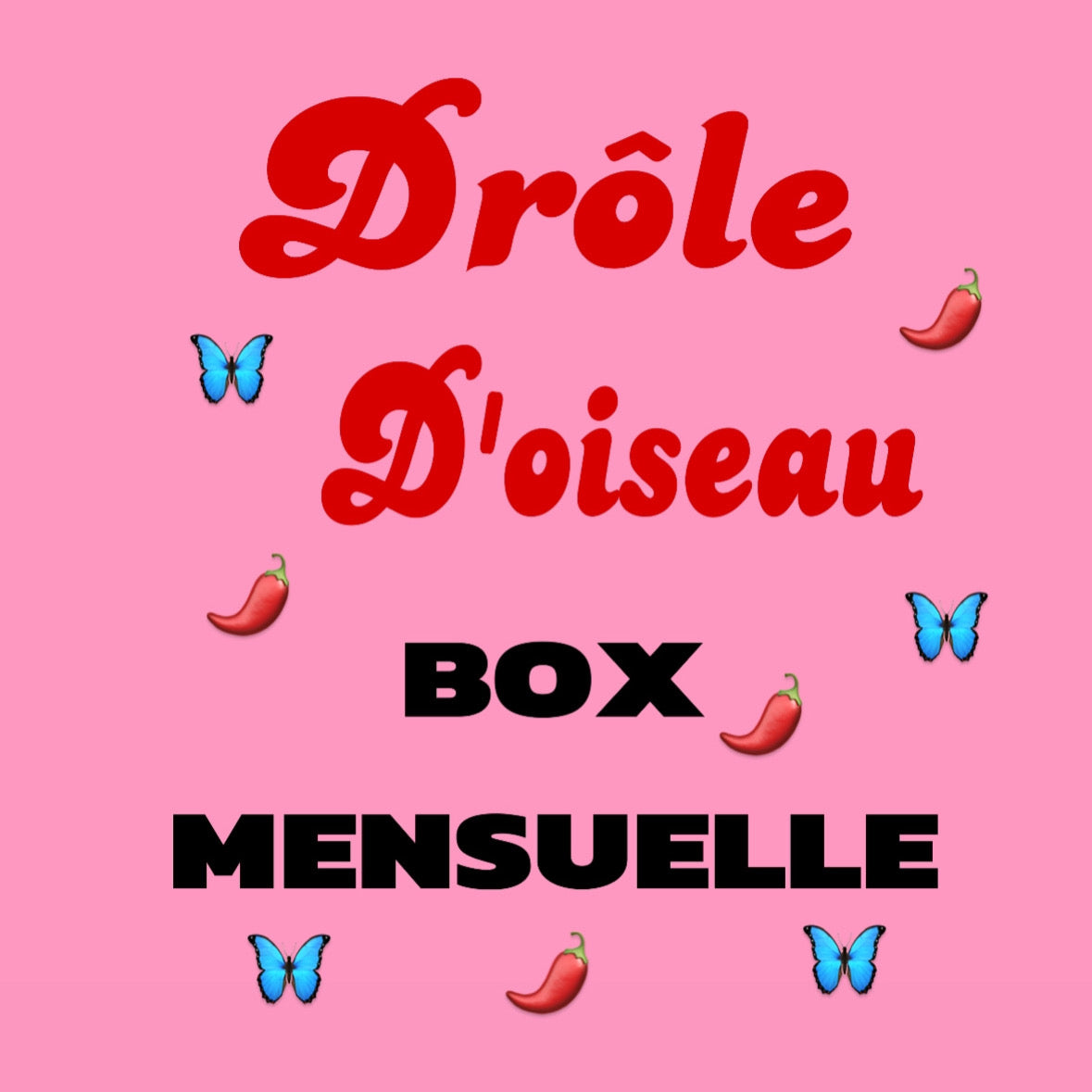 BOX MENSUELLE DRÔLE D’OISEAU